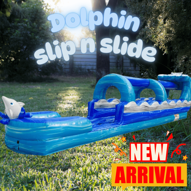 Dolphin Slip n Slide