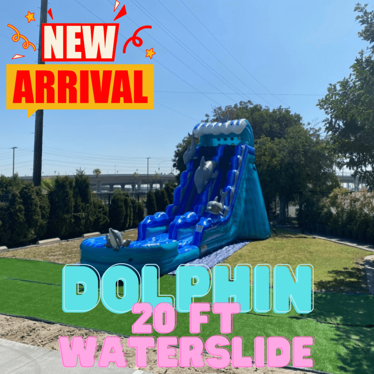 Dolphin Waterslide - 20 ft