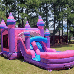 4 1749146581 XL Pink and Purple Princess Palace Dual Lane Combo