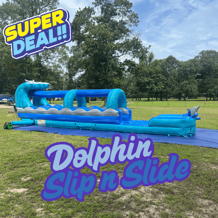 Dolphin Slip n Slide